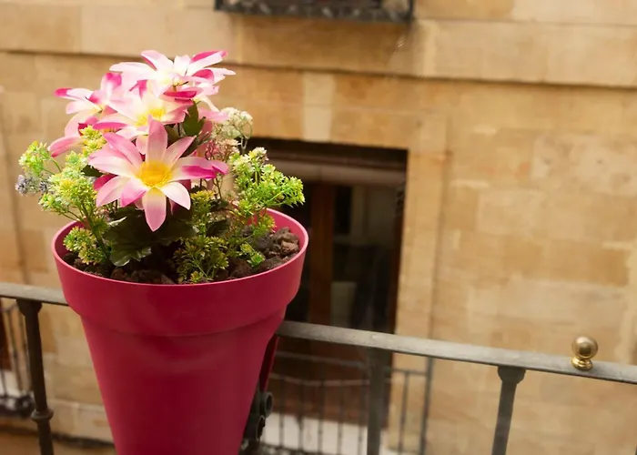 Pop-art, Junto A La Plaza Mayor, By My In サラマンカ